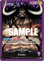 Kaido-1-Leader-ST04